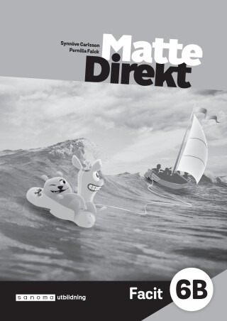 Matte Direkt 6B Facit (5-pack)